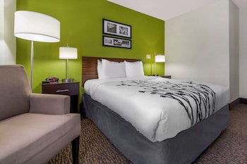 Room, 1 Queen Bed, Accessible, Non Smoking