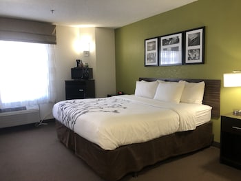 Standard Room, 1 King Bed, Non Smoking, Refrigerator & Microwave