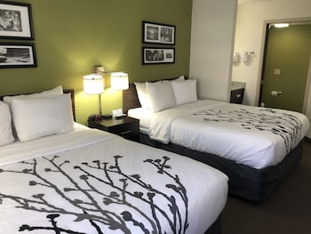 Standard Room, 2 Queen Beds, Non Smoking, Refrigerator & Microwave