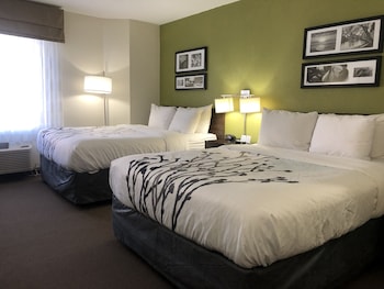 Standard Room, 2 Queen Beds, Non Smoking, Refrigerator & Microwave