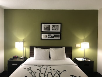 Room, 1 Queen Bed, Accessible, Non Smoking