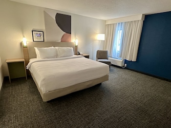 Suite, 1 Bedroom
