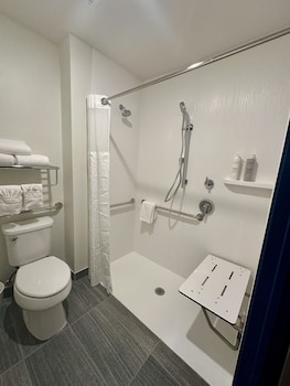 Room, 1 King Bed, Accessible (Mobility & Hearing, Roll-in Shower)