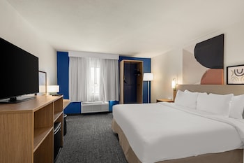 Room, 1 King Bed, Non Smoking
