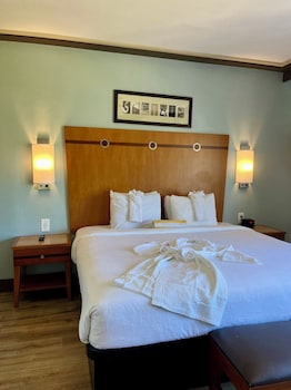 Superior Room, 1 King Bed, Ocean View