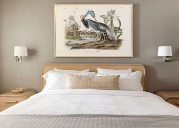 Standard Room, 1 King Bed, Roll-in Shower