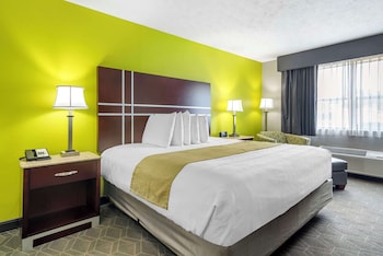 Standard Room, 1 King Bed, Non Smoking, Refrigerator & Microwave