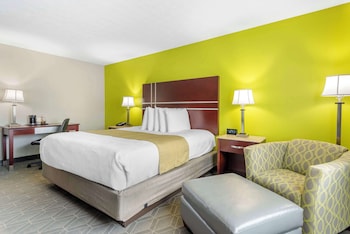Standard Room, 1 King Bed, Non Smoking, Refrigerator & Microwave