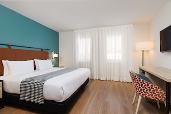 Standard Double Room Single Use