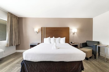 Standard Room, 1 King Bed, Non Smoking