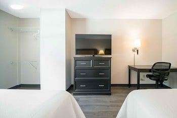 Deluxe Studio, Multiple Beds, Non Smoking