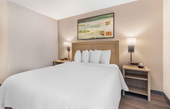 Deluxe Studio, 1 Queen Bed with Sofa bed, Non Smoking (Premium)