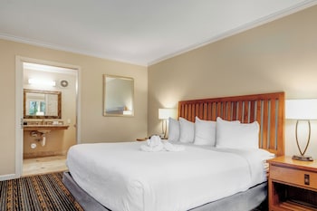 Standard Room, 1 King Bed, Accessible (Roll In Shower)