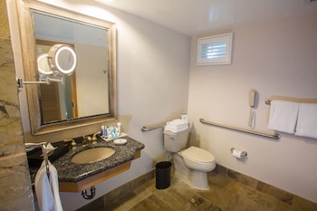 Standard Room, 1 King Bed, Accessible (Roll In Shower)