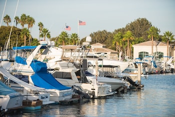 Standard Room, 1 King Bed, Marina View