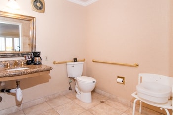 Standard Room, 1 King Bed, Accessible