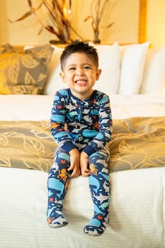 Junior Suite, 1 King Bed, Accessible, Bay View