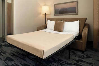 Studio, 1 King Bed with Sofa bed, Roll-in Shower