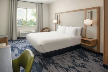 Studio, 1 King Bed with Sofa bed, Roll-in Shower