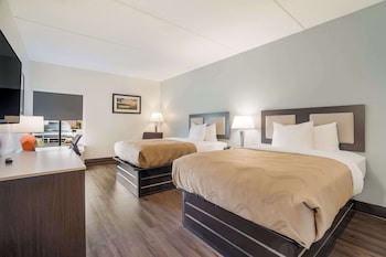 Standard Double Room, 2 Double Beds, Non Smoking