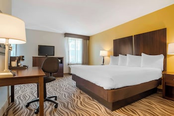 Standard Room, 1 King Bed, Non Smoking, Jetted Tub (with Sofabed)