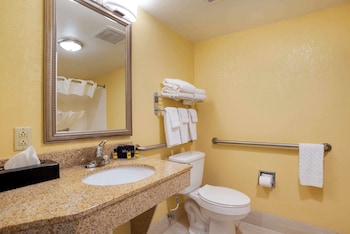 Standard Room, 1 King Bed, Accessible, Non Smoking