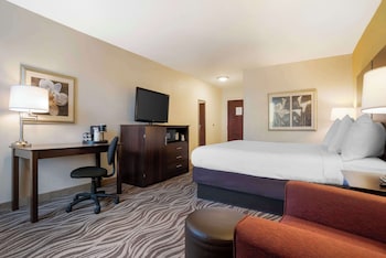 Standard Room, 1 King Bed, Non Smoking, Refrigerator & Microwave