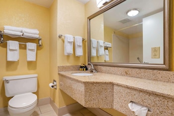 Standard Room, 1 King Bed, Non Smoking, Jetted Tub (with Sofabed)