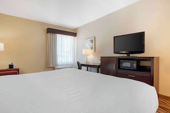 Standard Room, 1 King Bed, Accessible, Non Smoking