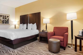 Standard Room, 1 King Bed, Accessible, Non Smoking