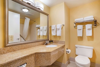 Standard Room, 1 King Bed, Non Smoking, Refrigerator & Microwave (with Sofabed)
