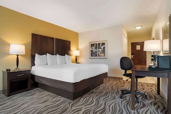 Standard Room, 1 King Bed, Non Smoking, Jetted Tub (with Sofabed)