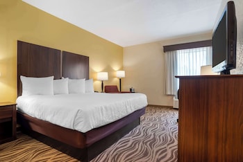 Standard Room, 1 King Bed, Accessible, Non Smoking