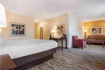 Standard Room, 1 King Bed, Non Smoking, Jetted Tub (with Sofabed)