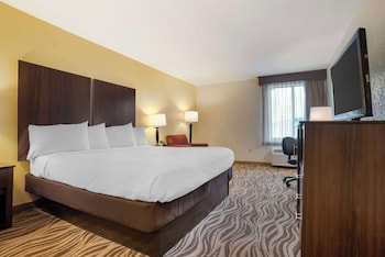 Standard Room, 1 King Bed, Non Smoking, Refrigerator & Microwave