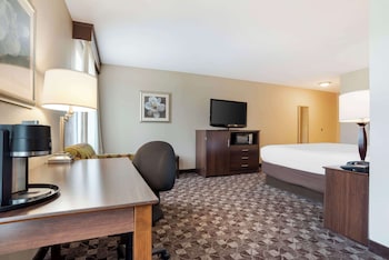 Standard Room, 1 King Bed, Non Smoking, Refrigerator & Microwave (with Sofabed)
