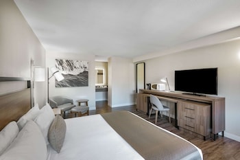 Room, 1 King Bed, Non Smoking