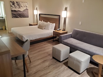 Deluxe Room, 1 King Bed with Sofa bed, Non Smoking
