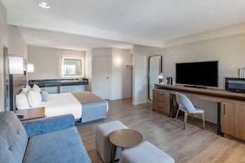 Deluxe Room, 1 King Bed with Sofa bed, Non Smoking