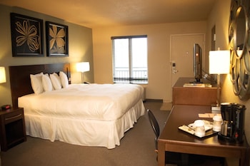 Executive one king bed non smoking