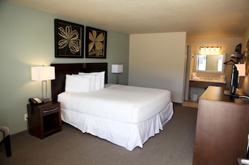 Executive one king bed non smoking