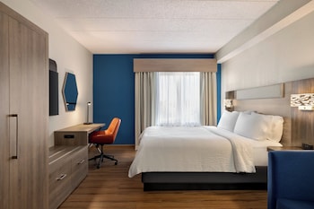 Standard Room, 1 King Bed with Sofa bed