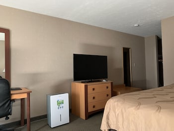 Room, 1 King Bed, Ground Floor