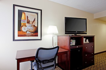 Room, 1 King Bed, Roll-in Shower (Communications Accessible)