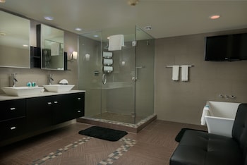 Suite, 1 Bedroom, Kitchen (Extra Floor Space)