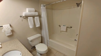 Room, 1 King Bed, Roll-in Shower (Communications Accessible)