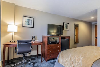 Standard Room, 1 King Bed, Jacuzzi, Non Smoking