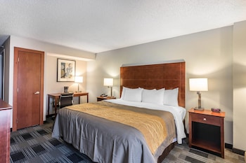 Standard Room, 1 King Bed, Non Smoking