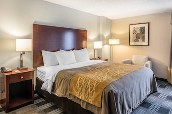 Standard Room, 1 King Bed, Jacuzzi, Non Smoking