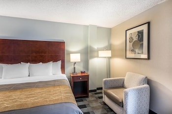 Standard Room, 1 King Bed, Jacuzzi, Non Smoking